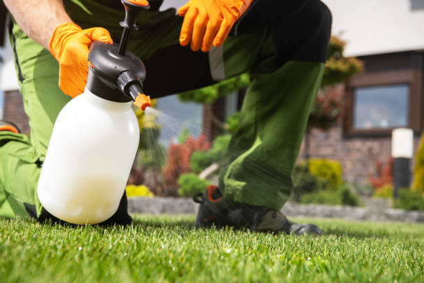 Best Commercial Pest Control Services  in Apache, OK