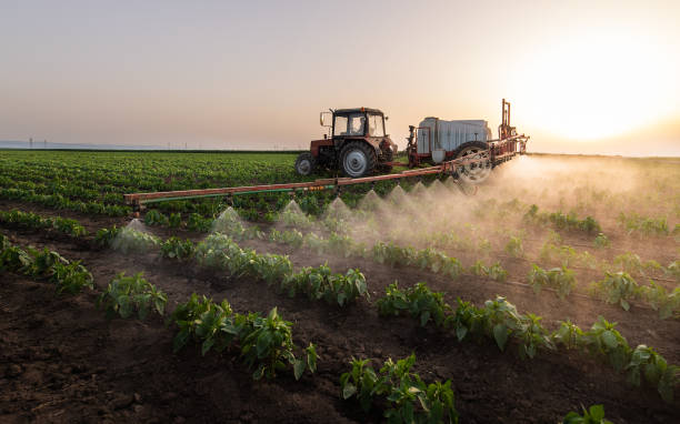 Trusted Apache, OK Pest Control Experts
