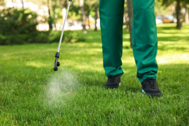 Professional Pest Control in Apache, OK