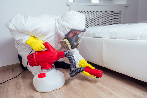 Best Wasp Removal Services  in Apache, OK