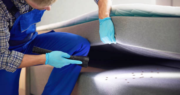 Best Mosquito Control Services  in Apache, OK