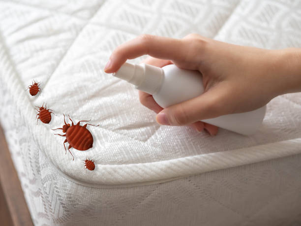 Best Best Pest Control Near Me  in Apache, OK