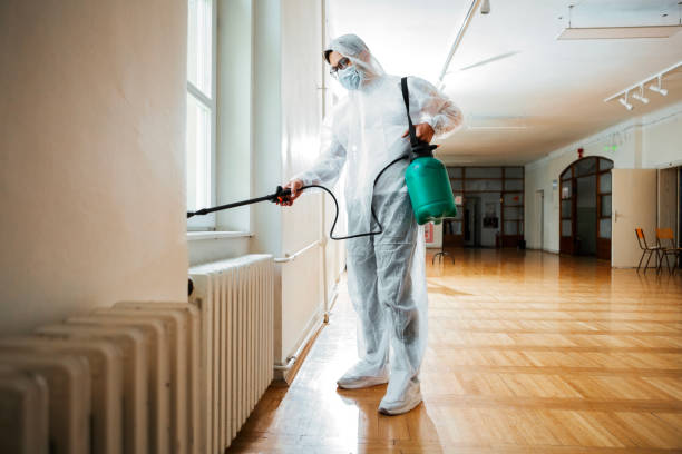 Best Local Pest Control Services  in Apache, OK