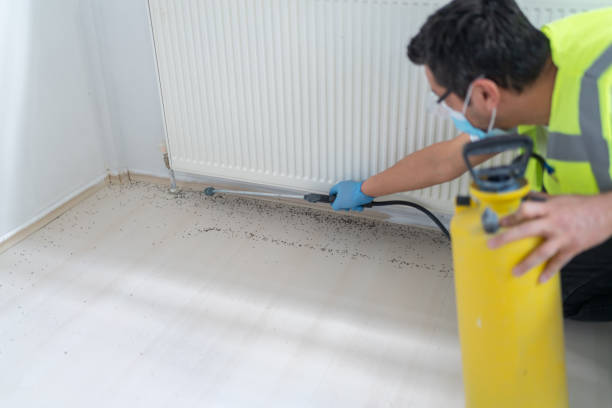 Best Bed Bug Extermination  in Apache, OK