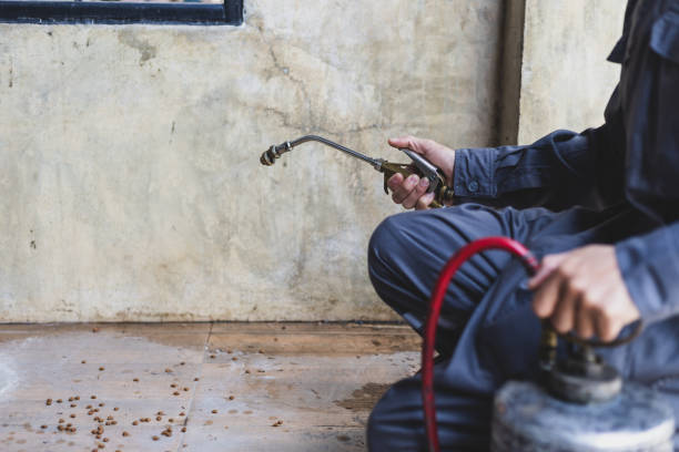Best Termite Control Services  in Apache, OK