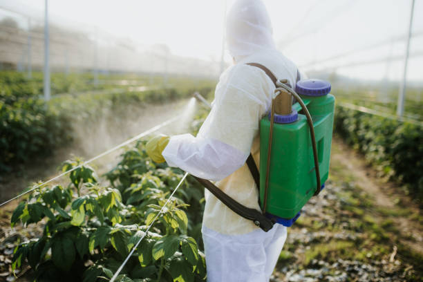 Best Wildlife Control Services  in Apache, OK